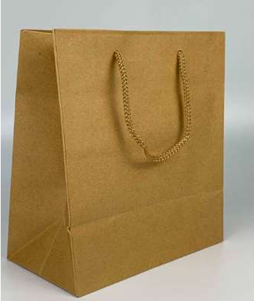 Paper Bag with Handle