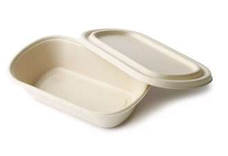 Oval Bio Bagasse Box with Bio Lid